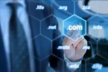 domain extensions. Is a domain squatter set to steal your brand?