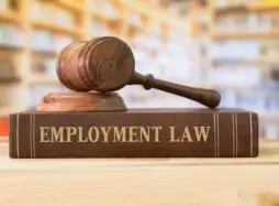 Gavel and hammer on large book with Employment Law on its spine