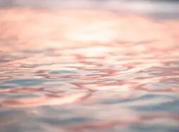 Waves on water. The Benefits of Mediation Techniques and Approaches in Contract Negotiation.The Legal Director