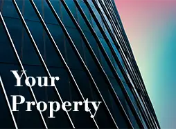 Your Property. The Legal Director